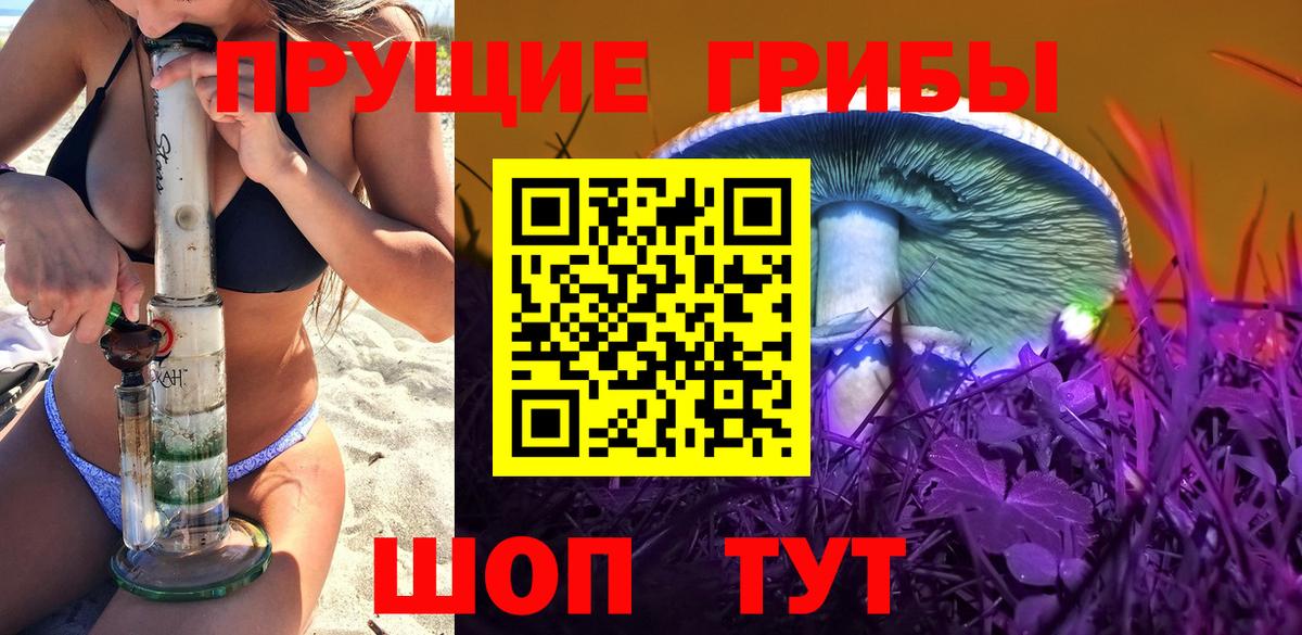 Псилоцибиновые грибы MAGIC MUSHROOMS Донской